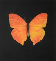 Damien Hirst THE SOULS ON JACOB'S LADDER Etching, Unique - Sold for $23,040 on 05-24-2025 (Lot 216).jpg